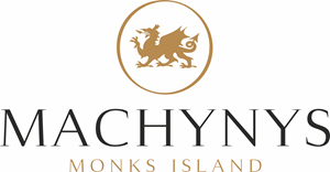 MACHYNYS logo.png