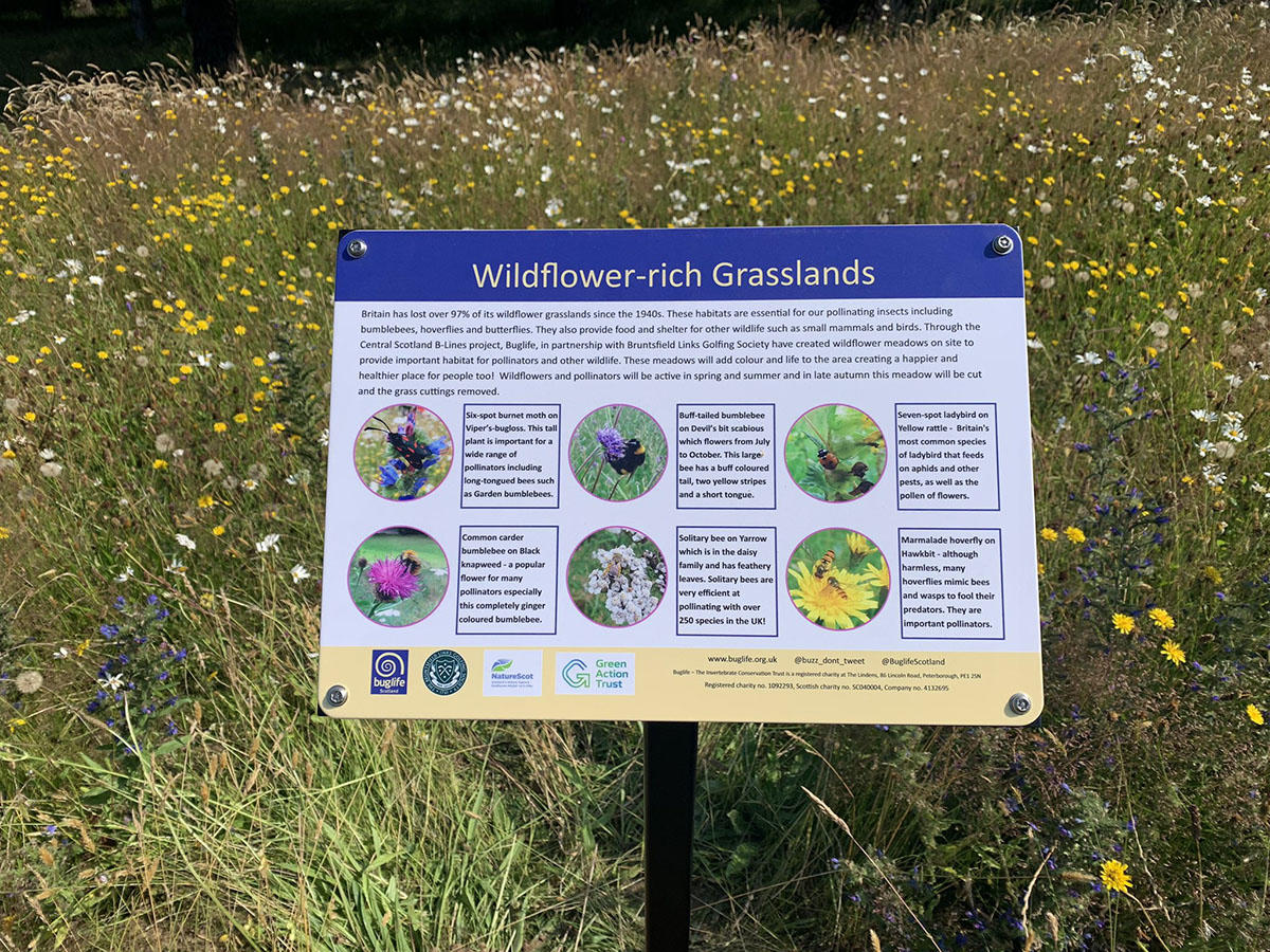 Bruntsfield Sign