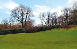 8th green (Dec 24).jpg