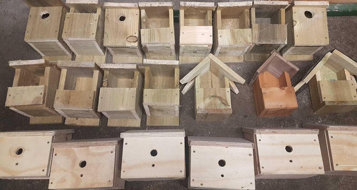 Rothes Nest Boxes