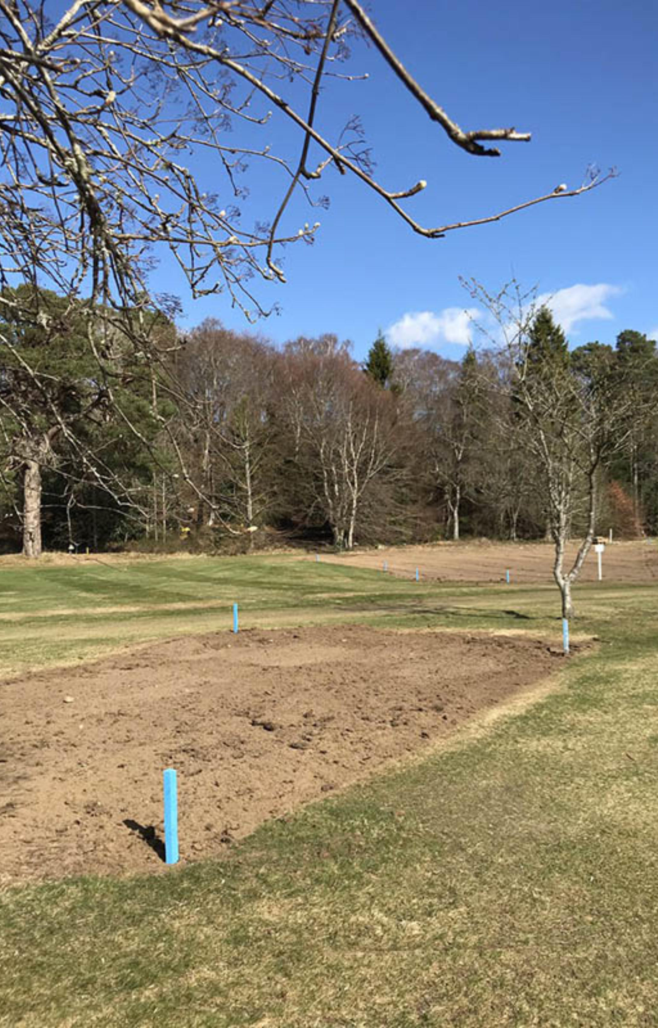 Banchory Operation Pollinator Area