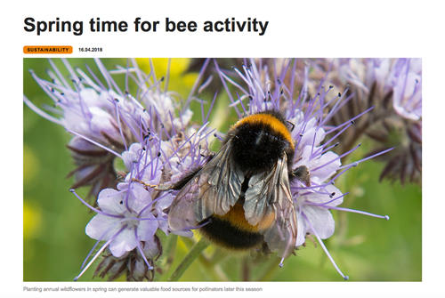 Spring time for Bees.jpg