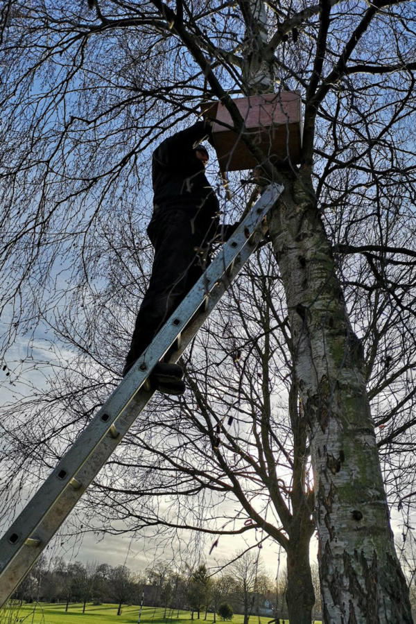 Vale Royal Golf Club's Kestrel Box