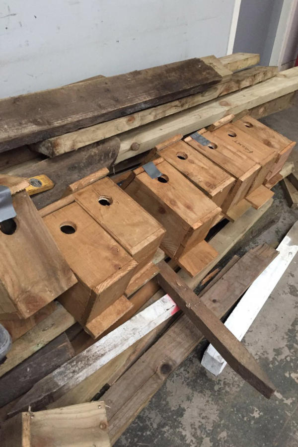 Scott Corrigan's Starling Boxes.