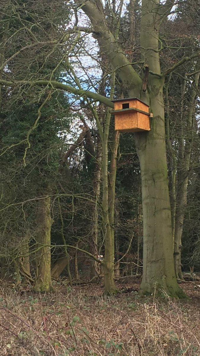 Cave Castle Golf Club's owl box