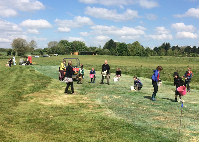 Conservation work at Kingsdown.jpg