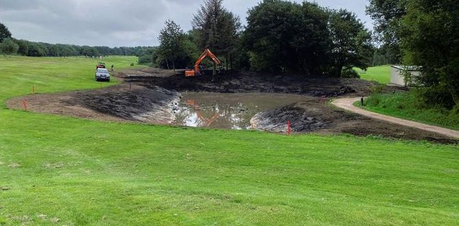 Image - 2025-11-06T090939.565-1200.jpg 1