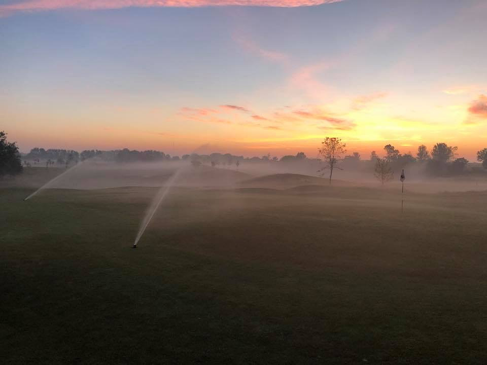 Irrigation at dawn.JPG
