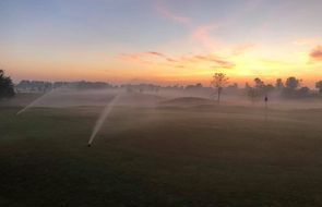 Irrigation at dawn.JPG