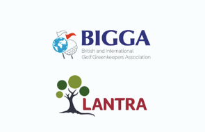 Untitled (140 x 140 px) (140 x 90 px).png