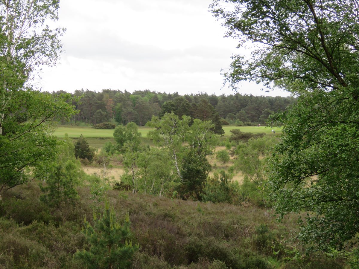 Around half of the Sunningdale estate is not golf course 1.jpg
