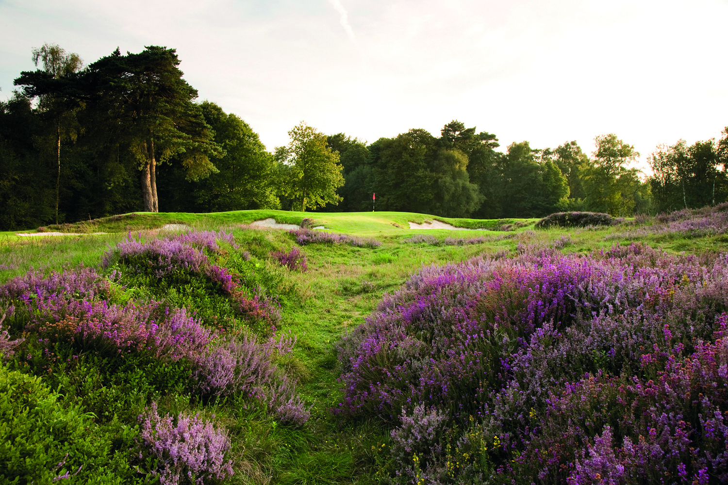 Liphook 3rd (1).jpg