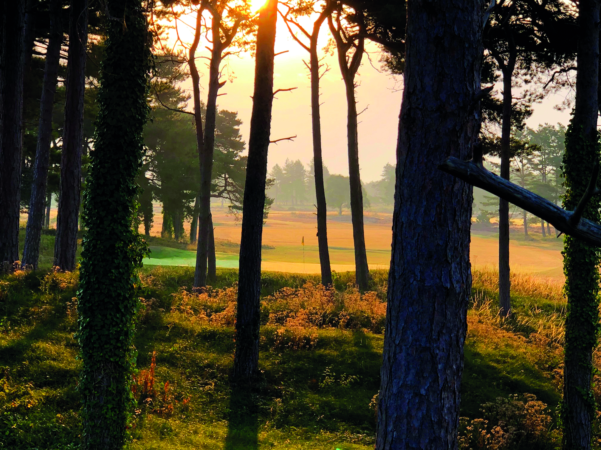Formby Ladies 4th.jpg