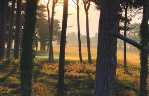 Formby Ladies 4th.jpg