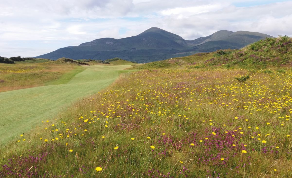 Royal County Down.jpg